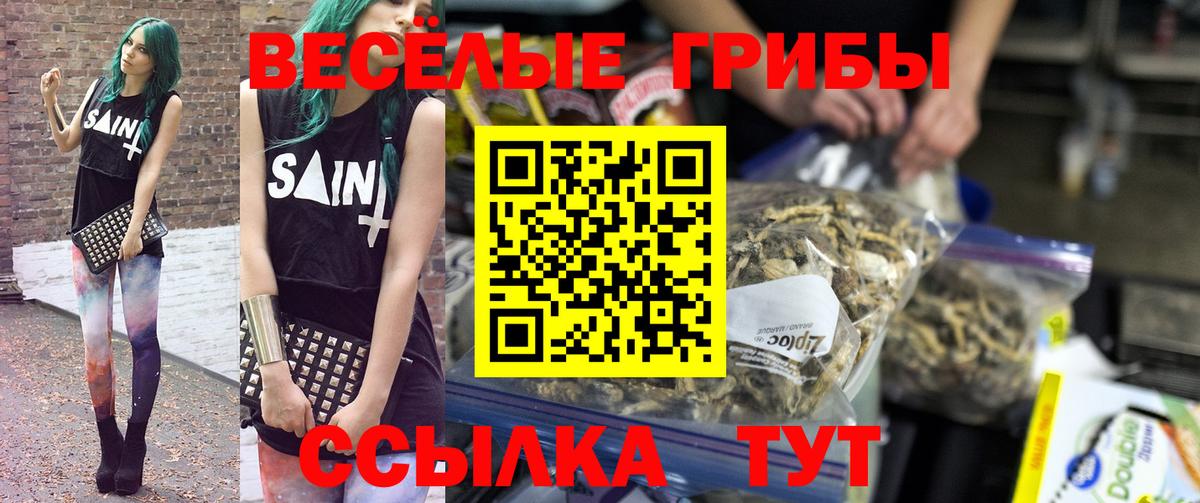 Галлюциногенные грибы Psilocybine cubensis Дубна